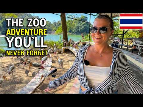 A Day At Khao Kheow Open Zoo: Must-visit Wildlife Experience In Thailand 🇹🇭