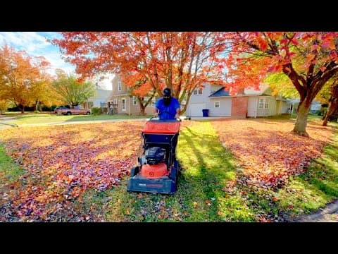 “i Couldn’t Keep Up With The Leaves…” — Start To Finish Leaf Clean Up For A Teacher With The Dr Xd45