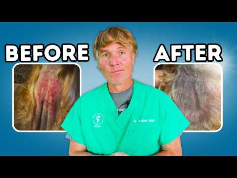 New Spray For Dog And Cat Allergies: Hot Spots, Ears, Wounds, Abscess