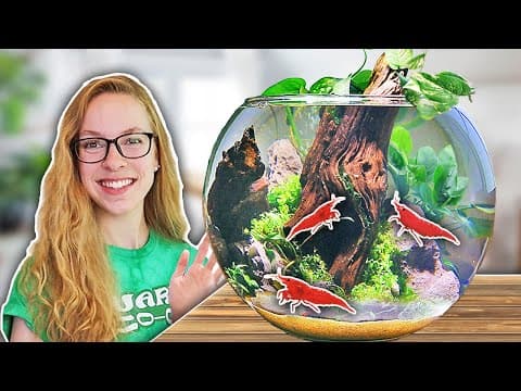 How To: Easy Biosphere Bowl For Shrimp [step By Step]