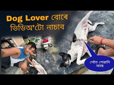 Dog Lover বোৰে ভিডিঅ'টো নাচাব Plz 🙏