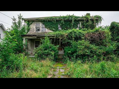 Neighbors Couldn’t Believe They Could Finally See The Abandoned House