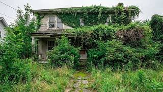 Neighbors Couldn’t Believe They Could Finally See The Abandoned House