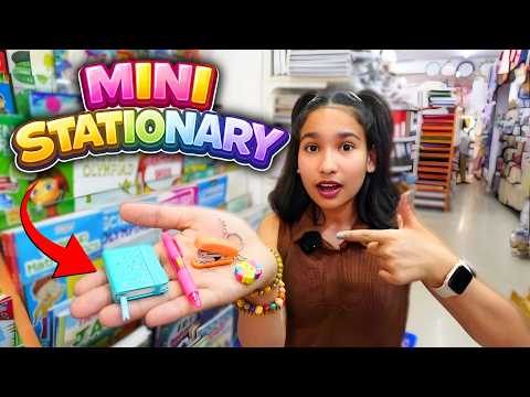 Mini Stationery Shopping Challenge — No Budget 💸 No Limit 😱 | How Much Did We Spend?! 🤯✏️📚