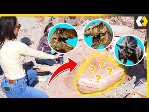 Digging Up 100 Million Year Old Jurassic Treasure!