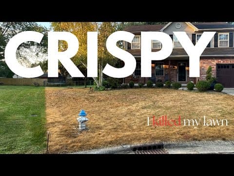 I Just Killed My Lawn (round 1)