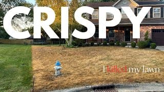 I Just Killed My Lawn (round 1)