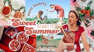 Summer Diaries: Amish Grocery Store, Nutella Mocha, Pool Party + Strawberry Season | Mennonite Mom