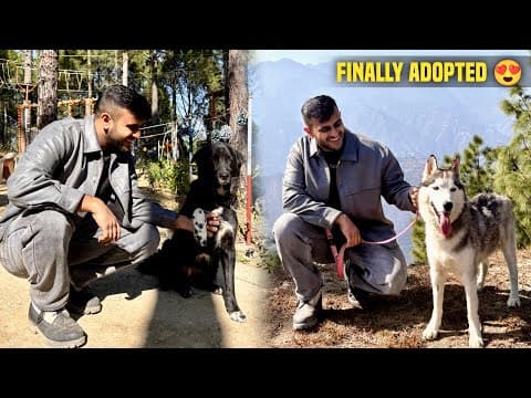 Finally Abandoned Husky Got Adopted In Devprayag Uttarakhand🥹😍