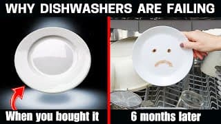 Dirty Reason Why Good Dishwashers Stop Cleaning After 1 Year