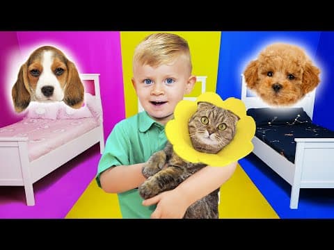 Kids Take Care Of Animals At The Pet Hotel