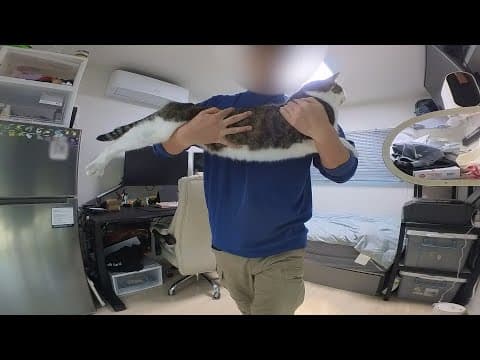 이게 맞는 걸까