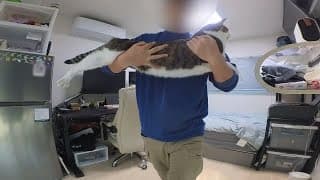 이게 맞는 걸까