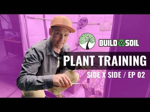 Buildasoil: Plant Training // Gmo // Side X Side (episode 02)