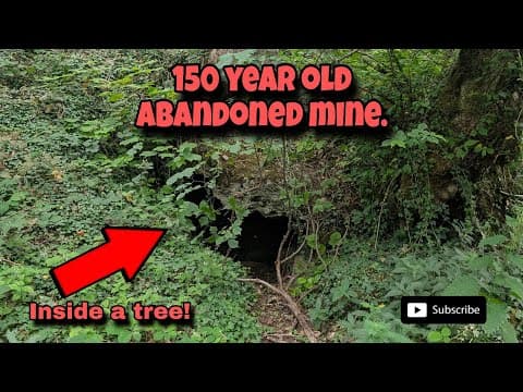 Old Mine Workings Inside A Tree! Look Inside One Of Derbyshire's Abandoned Lead Mines.