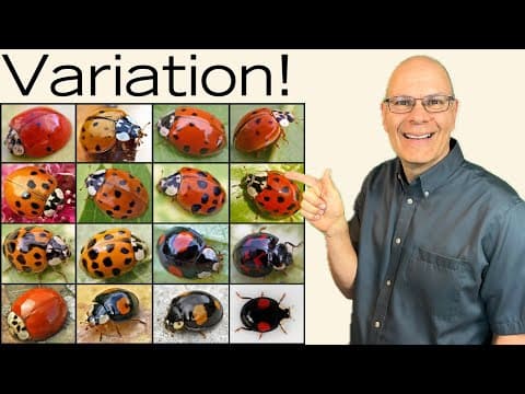 Essential Facts About Variation For Ap Bio To Help You Succeed!