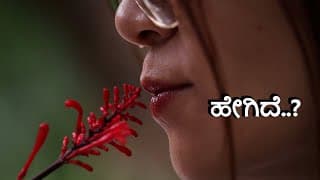 Astrhori 120mm F2.8 | Macro 2x Lens | Rs35k | Budget Professional Lens | Jawari Bhashe