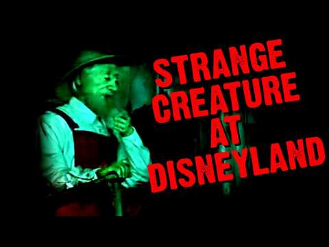 Hunting For Unexplained Creatures At Disney Parks