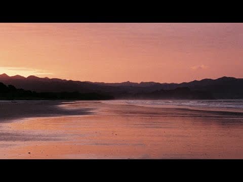 Some Pictures I Took