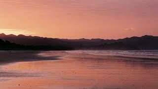 Some Pictures I Took