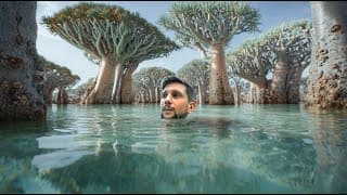 Why You Need To Travel Yemen (7 Days In Socotra)