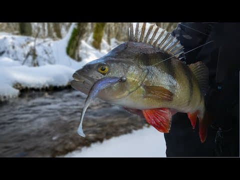 They Said I Was Mad For Fishing In These Conditions! I Proved Them Wrong!