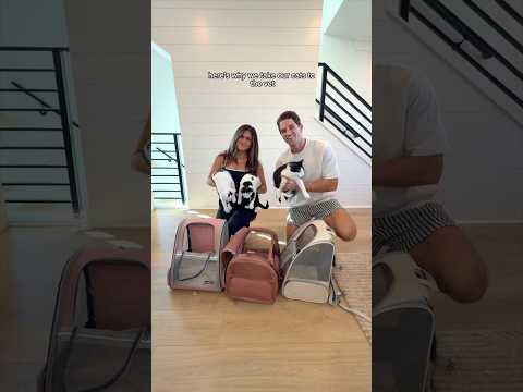 @chewy Pharmacy makes getting our cats prescriptions so easy 😍 #ChewyPartner #ChewyPharmacy