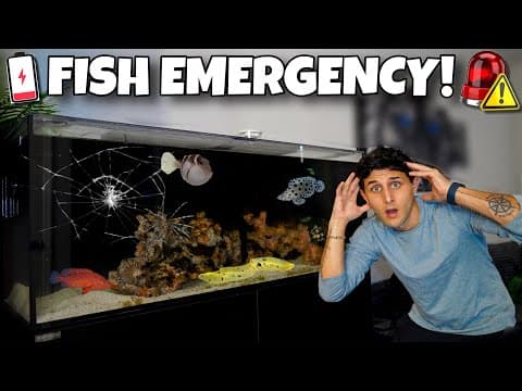 We Had A Emergency In My Saltwater Aquarium!!