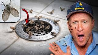I Fixed A 10-year Drain Fly Infestation No One Could Solve! 😳🪰