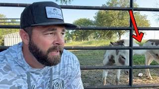 Are You Taking Care Of Business