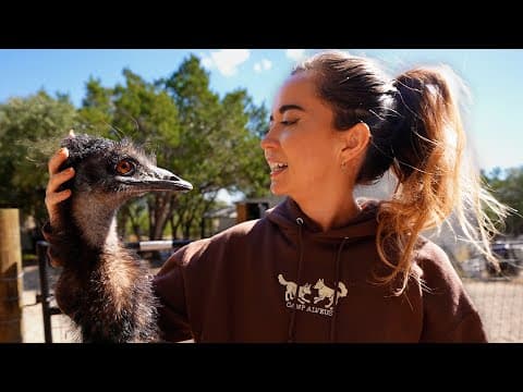 A Day In The Life With 38 Animals