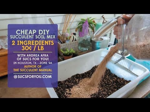 Diy Cheap Succulent Soil Mix: 2-ingredients And Just 30 Cents A Pound!