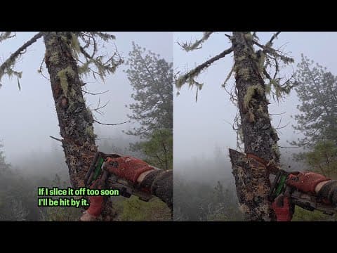 The Slice Cut: Reducing Side Force On Tall Dead Snags