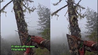 The Slice Cut: Reducing Side Force On Tall Dead Snags