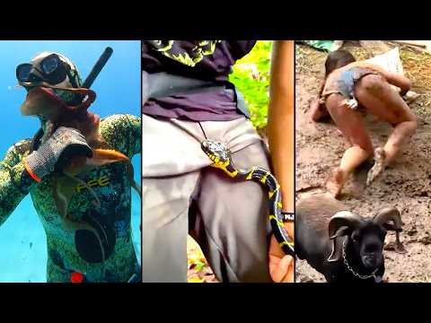 They're Swarming Her! When Animals Fight Back (vol. 15)