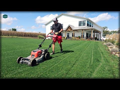 A Brand New Lawn In Only One Month