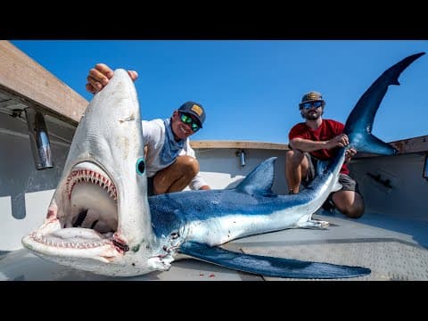 Giant Mako & Blue Shark! Catch Clean Cook!