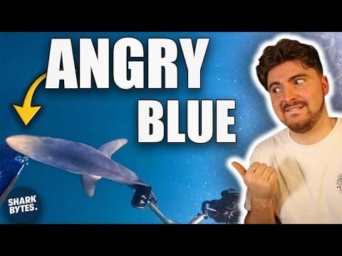 Shark Scientist Analyses His Own Shark Bite Incident