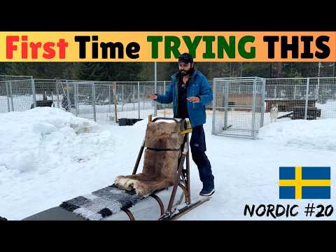 I Tried Being Musher For A Day