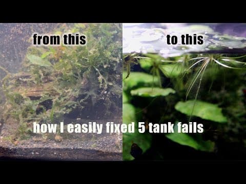 How I Easily Fixed 5 Tank Fails!
