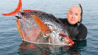 They Said This Is The Wagyu Of The Sea And I Finally Got It!