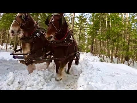 How Much Of A Difference Does 35 Miles Make?? #796