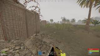 Coconut B Live Stream