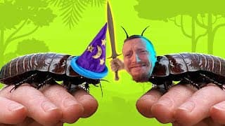 Cockroach Mage - Why Won't You Die