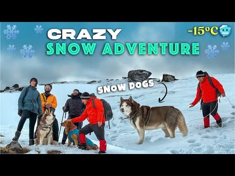Crazy Snow Adventure With Snow Dogs 🐕 🥶❄️ | In Search Of Winter Wonderland😍