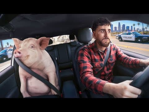 J'enfreins Les Pires Lois Des Usa (oui C'est Un Cochon)
