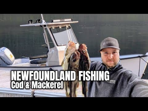 Boating & Fishing For Cod And Mackerel In Newfoundland! | 2025