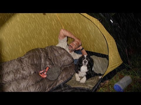 Camping In The Rain With Dog, Tent And Tarp