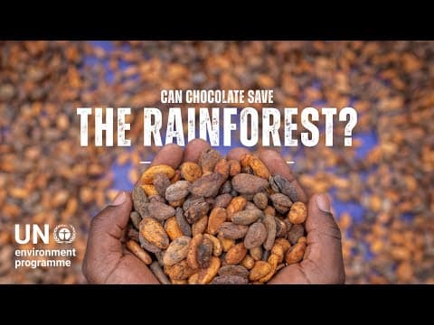 Can Chocolate Save The Rainforest? #indigenouspeoplesday