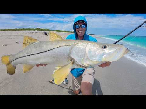 3 Days Of Florida's Ridiculous Beach Fishing (catch Clean & Cook)